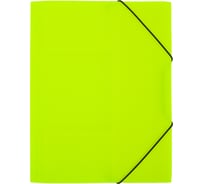 Папка Expert Complete на резинке 5 шт A4 600 мкм PRISMA NEON 35 мм лайм 679795