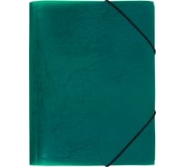 Папка Expert Complete на резинке 5 шт A4 Premier 600 мкм 35 мм волокно зеленый new 695985