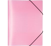 Папка Expert Complete на резинке A5 Trend ICEberries 600 мкм 25 мм 1 шт клубника 709219