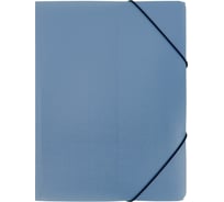 Папка Expert Complete на резинке A5 Trend ICEberries 600 мкм 25 мм 1 шт голубика 709216