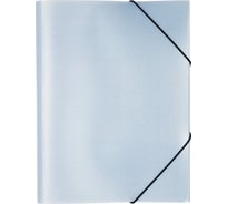 Папка Expert Complete на резинке A4 Trend ICEberries 600 мкм 35 мм 1 шт лед 709212