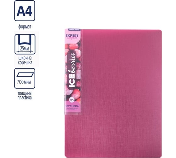 Папка Expert Complete на 2 О-кольцах A4 Trend ICEberries 700 мкм 25 мм 1 шт d - 20 мм лед 709187