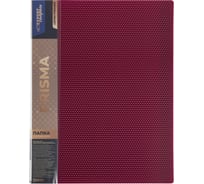 Папка Expert Complete с файлами-вкладышами 6 шт по 40 листов A4 40 мкм PRISMA 600 мкм 20 мм рубиновый 678173