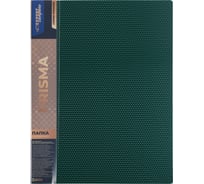 Папка Expert Complete с файлами-вкладышами 6 шт по 40 листов A4 40 мкм PRISMA 600 мкм 20 мм изумрудный 678176