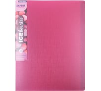 Папка Expert Complete с файлами-вкладышами 20 листов A4 40 мкм Trend ICEberries 600 мкм 20 мм 1 шт брусника 709290