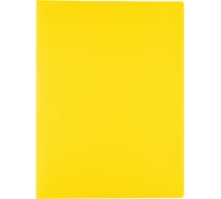 Папка Expert Complete с файлами-вкладышами 6 шт по 30 листов A4 40 мкм Classic 500 мкм 15 мм песок желтый 605605