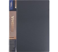 Папка Expert Complete с файлами-вкладышами 6 шт по 20 листов A4 40 мкм PRISMA 600 мкм 20 мм серый 678167