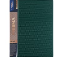 Папка Expert Complete с файлами-вкладышами 6 шт по 20 листов A4 40 мкм PRISMA 600 мкм 20 мм изумрудный 678166