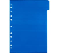 Пластиковый разделитель листов Expert Complete A4 5 шт Premier волокно ассорти 703777