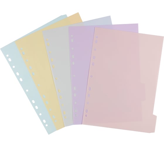 Пластиковый разделитель листов Expert Complete A4 5 шт Trend Pastel диагональ ассорти 703765
