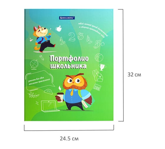 Папка-портфолио BRAUBERG школьника Отличник, 4 кольца, 20 файлов, 10 вкладышей, 7БЦ матовая 115240