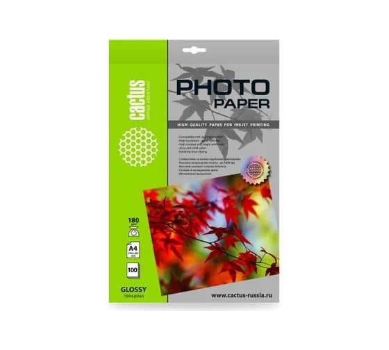 Фотобумага CACTUS CS-GA4180100 A4, 180 г/м2, 100 листов, белый глянцевое для струйной печати 1146801