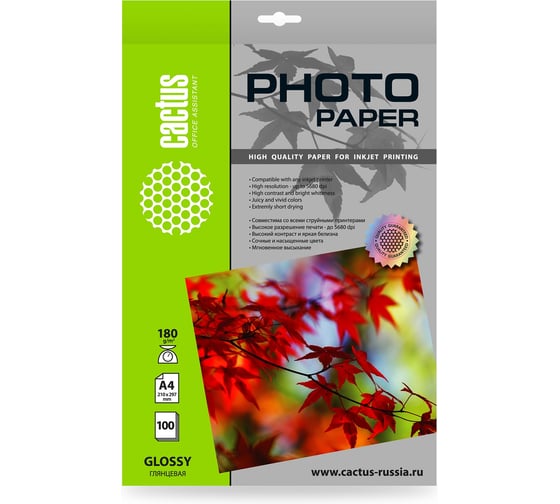 Фотобумага CACTUS CS-GA4180100 A4, 180 г/м2, 100 листов, белый глянцевое для струйной печати 1146801 1