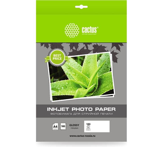 Фотобумага CACTUS CS-GA4180100ED A4, 180 г/м2, 100 листов, белый глянцевое для струйной печати 1033514 1