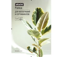 Рамка Attache клип 21x30 1603603