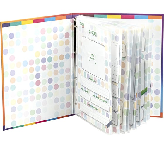 Папка-портфолио дошкольника BRAUBERG Kids Кошечка, 4 кольца, 20 файлов, 10 вкладышей, 7БЦ матовая 115237