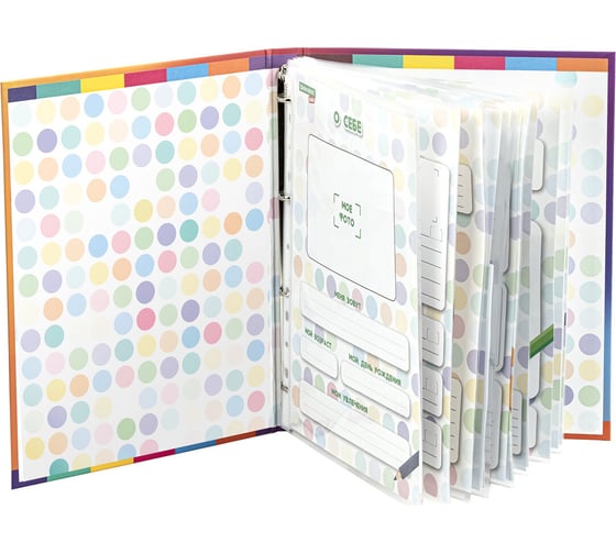 Папка-портфолио дошкольника BRAUBERG Kids Динозавр, 4 кольца, 20 файлов, 10 вкладышей, 7БЦ матовая 115238
