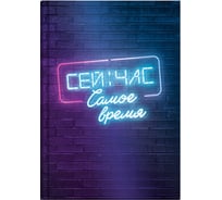Записная книжка Феникс+ Сейчас самое время А6+, 96 л, интегральный переплет, полноцветная печать, матовая ламинация, блок - белый офсет, 65 г/кв.м., печать в одну краску, клетка, недатированный 64322