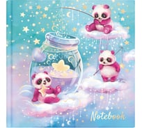 Блокноты Notebook Феникс+ Звездолов 105x105 мм, 48 л, блок - белый офсет 65 г/кв.м., дизайнерский блок-точка, твердый переплет, тиснение фольгой, глянцевая ламинация 65042