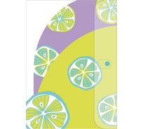 Папка для документов Феникс+ Лаймы пластиковая, полипропилен, формат А4, 23x32 см, 2 отделения, кнопка, внутренние папки-уголки, печать фольгой, УФ-печать 53479