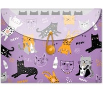 Папка для школьных тетрадей Феникс+ Коты пластиковая, полипропилен, формат А4, 33x24x1.5 см, 4 отделения, эластичная петля на пуговице, дно с расширением, УФ-печать 52080