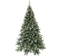 Ель MOROZCO Альпийская заснеженная с шишками 2.4 м 5724