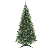 Ель MOROZCO Кавказская зеленая заснеженная с шишками 2.1 м 5921