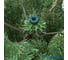 Искусственная ель Winter Glade Герда 240 с 102240 8