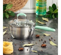 Нержавеющий ковш DANIKS 1.7 л, крышка стекло, индукция, силиконовые ручки, мятные, гринери sd-23-16sp 451813