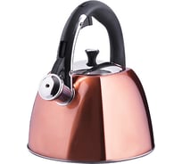 Чайник MAYER&BOCH 3 л, нержавеющая сталь со свистком MB (х12) 28970