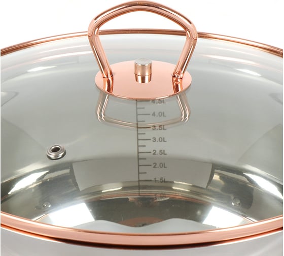 Кастрюля DANIKS 5.8 л, нержавеющая сталь, крышка стекло, карлин, gs-01332g-24, индукция 397611