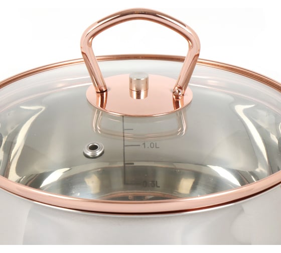Кастрюля DANIKS 1.8 л, нержавеющая сталь, крышка стекло, карлин, gs-01332g-16, серебристый, индукция 397607