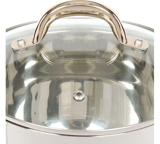 Кастрюля DANIKS 4.3 л, нержавеющая сталь, крышка стекло, мадрид gold, sd-322g, индукция 291943