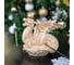 Пепельница BOGACHO дракон Фрай 22953/кремовый 6