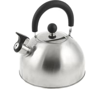 Чайник DANIKS нержавеющая сталь, 2.5 л, свисток, матовый, ручка пластик, индукция, msy-021m 218490