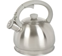 Чайник DANIKS нержавеющая сталь, 2 л, свисток, матовый, ручка бакелит, с силиконовым покрытием, модерн, индукция, m-006 378481