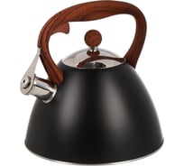 Чайник DANIKS нержавеющая сталь, 2.7 л, свисток, ручка бакелит, с силиконовым покрытием, индукция, pr-2204 429629