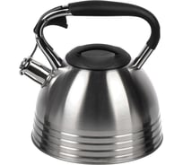 Чайник DANIKS нержавеющая сталь, 2.7 л, свисток, матовый, ручка с силиконовым покрытием, индукция, pr-2201 429626