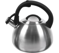 Чайник DANIKS нержавеющая сталь, 2.7 л, свисток, матовый, ручка бакелит, с силиконовым покрытием, индукция, стальной, m-085 397662