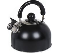 Чайник DANIKS нержавеющая сталь, 2.5 л, свисток, матовый, ручка металл, чер, gs-04001 355352