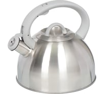 Чайник DANIKS нержавеющая сталь, 2.8 л, свисток, зеркальный, индукция, msy-065 308665