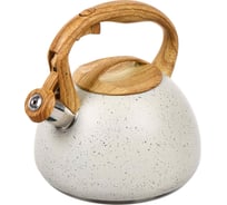 Чайник DANIKS нержавеющая сталь, 2.7 л, свисток, ручка дерево, белый мрамор, индукция, gs-04049h 430550