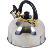 Чайник DANIKS нержавеющая сталь, 2.7 л, свисток, зеркальный, ручка бакелит, m-001 291956