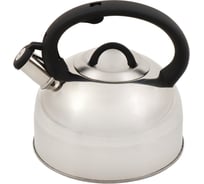 Чайник DANIKS нержавеющая сталь, 3 л, свисток, зеркальный, ручка бакелит, с силиконовым покрытием, турин, индукция, msy-075pm 378482