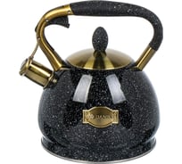 Чайник DANIKS нержавеющая сталь, 3 л, свисток, матовый, ручка с покрытием, нейлон, индукция, черный, gs-04517g 446895