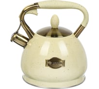 Чайник DANIKS нержавеющая сталь, 3 л, свисток, матовый, ручка с покрытием, нейлон, индукция, бежевый, gs-04517h-1 446893