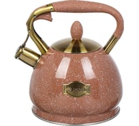 Чайник DANIKS нержавеющая сталь, 3 л, свисток, матовый, ручка с покрытием, нейлон, индукция, коричневый, gs-04517h-2 446894