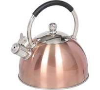 Чайник DANIKS нержавеющая сталь, 3 л, свисток, зеркальный, ручка с силиконовым покрытием, индукция, перламутровый, msy-072 308676