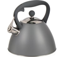 Чайник DANIKS нержавеющая сталь, 2.7 л, свисток, ручка бакелит, с силиконовым покрытием, индукция, pr-2202 429627