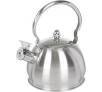 Чайник DANIKS нержавеющая сталь, 2 л, свисток, матовый, ручка металл, gs-04314-2.0l/smy-088, индукция 355266